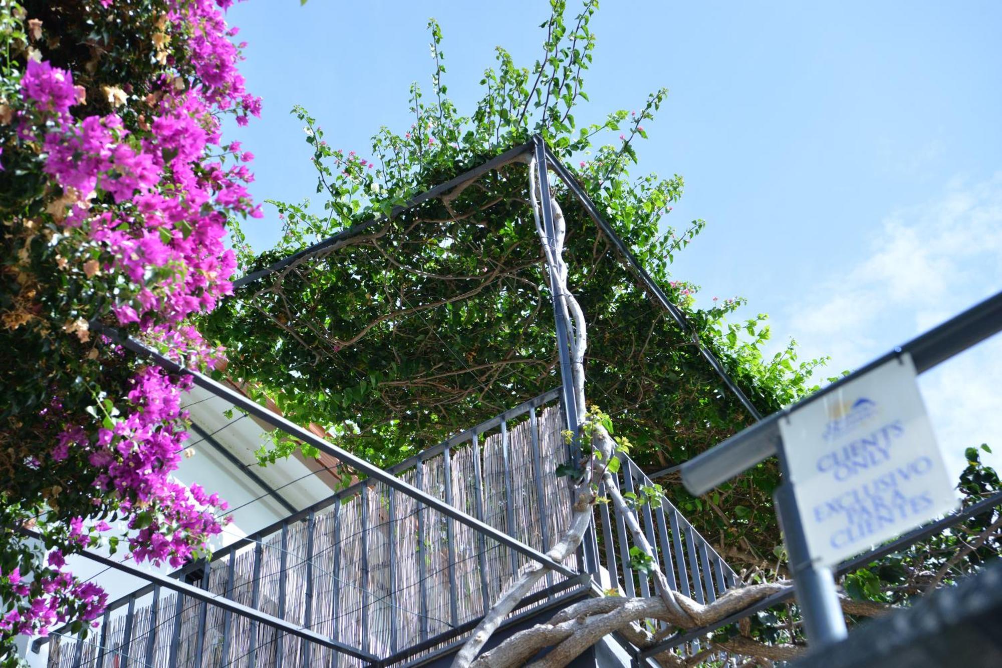 Quinta Golfinho Arco da Calheta (Madeira) Exterior foto