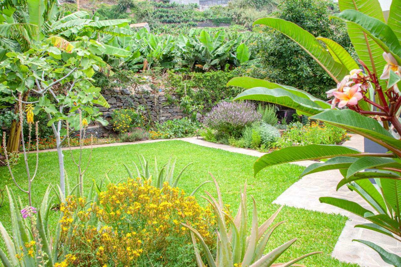 Quinta Golfinho Arco da Calheta (Madeira) Exterior foto